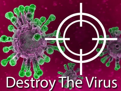 Destroy The Corona Virus game thumbnail